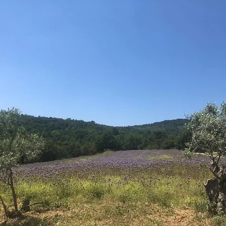 Le Mas Des Peyres Montfuron